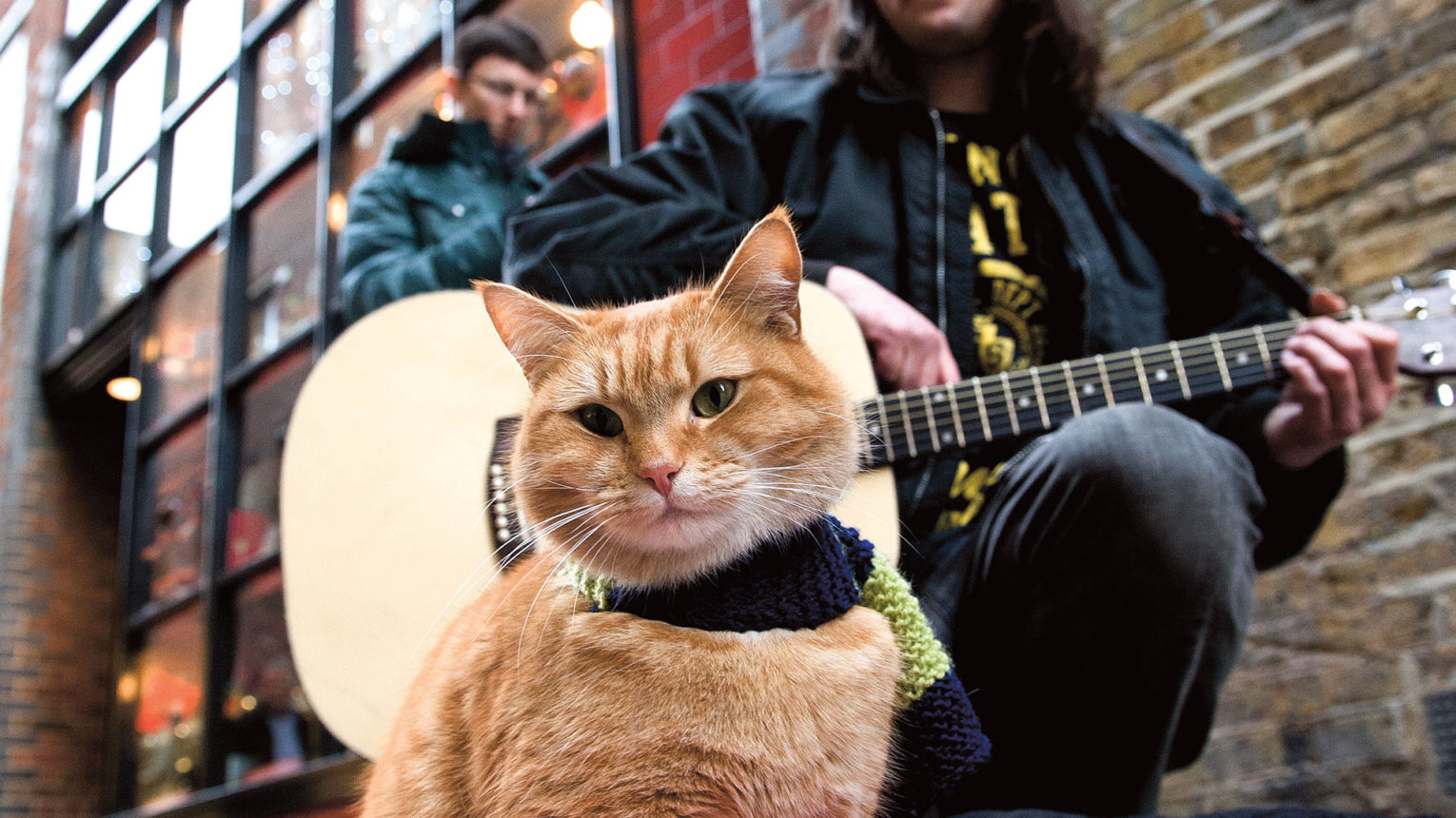 How Street Cat Bob Helped James Bowen Discover The Spirit Of Christmas The Big Issue